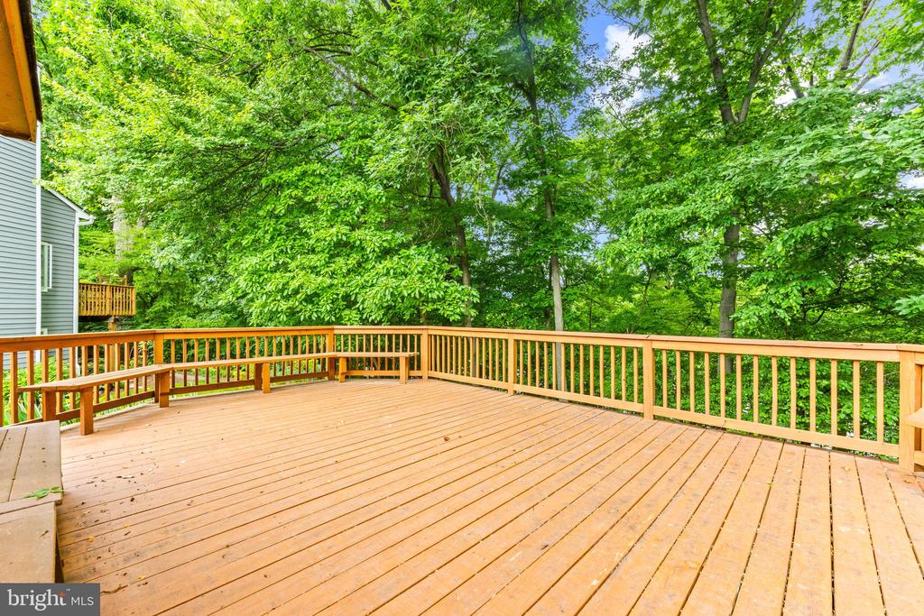 9463 Hickory Limb #251
