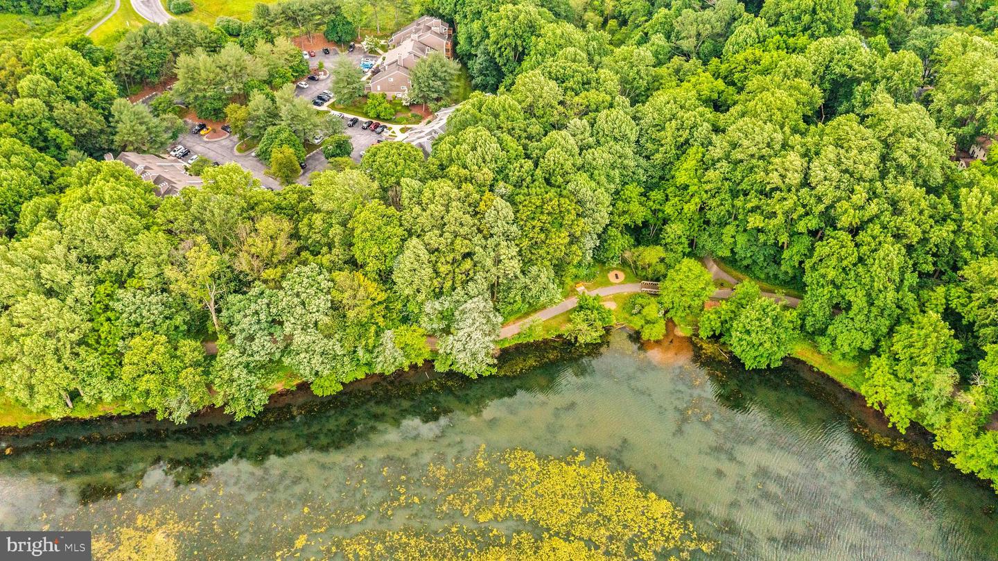 9463 Hickory Limb #251