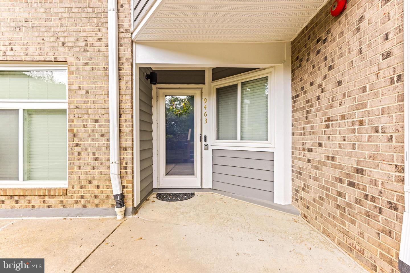 9463 Hickory Limb #251