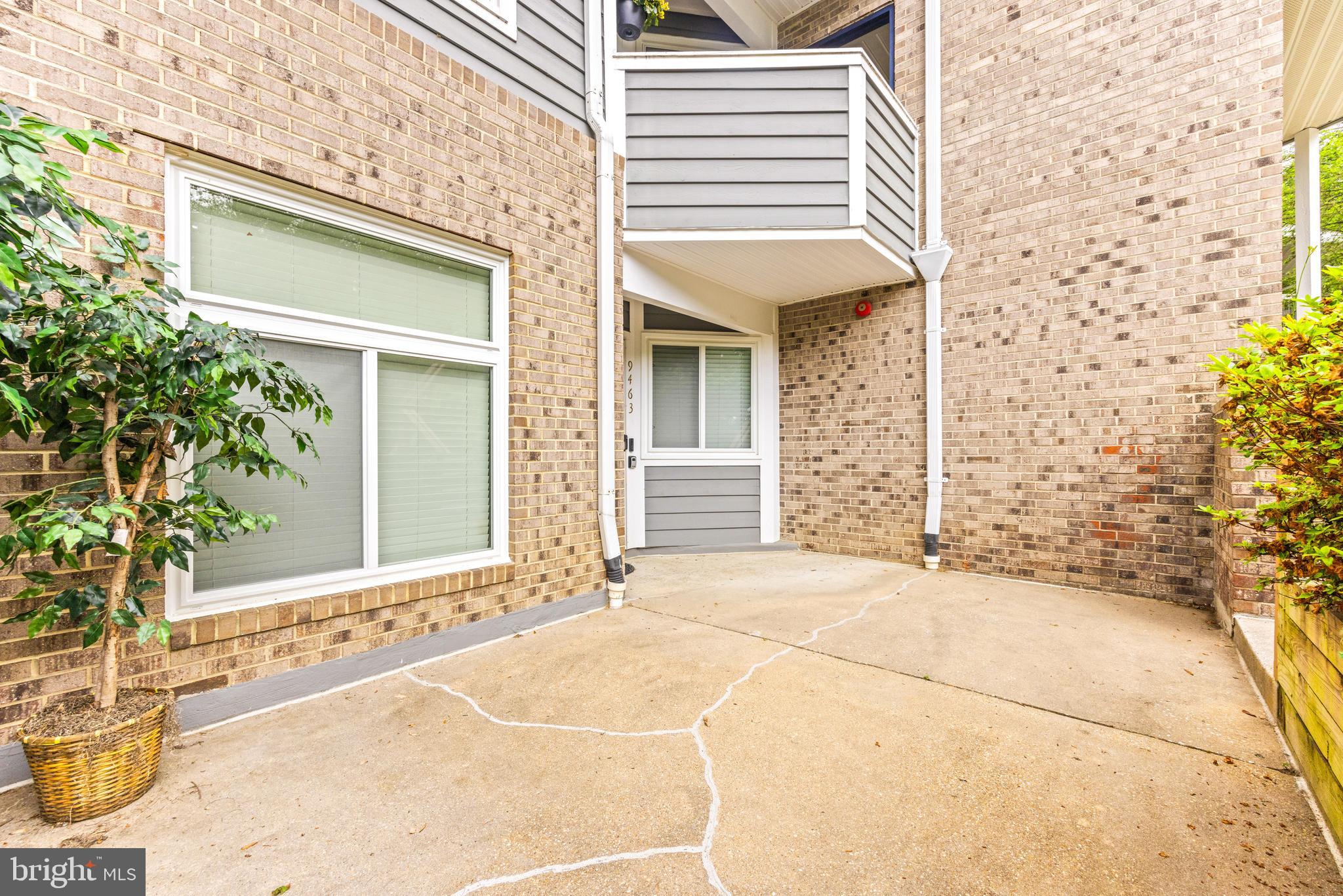 9463 Hickory Limb #251