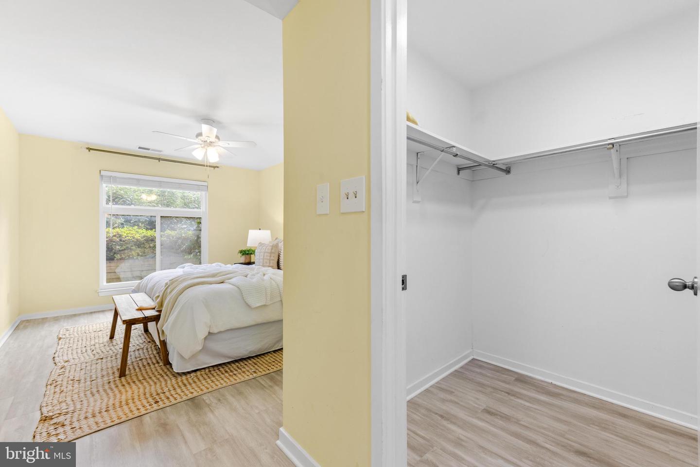 9463 Hickory Limb #251