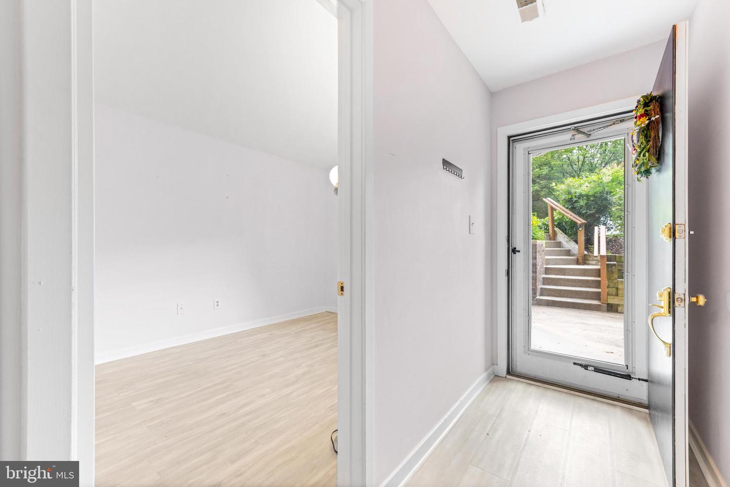 9463 Hickory Limb #251