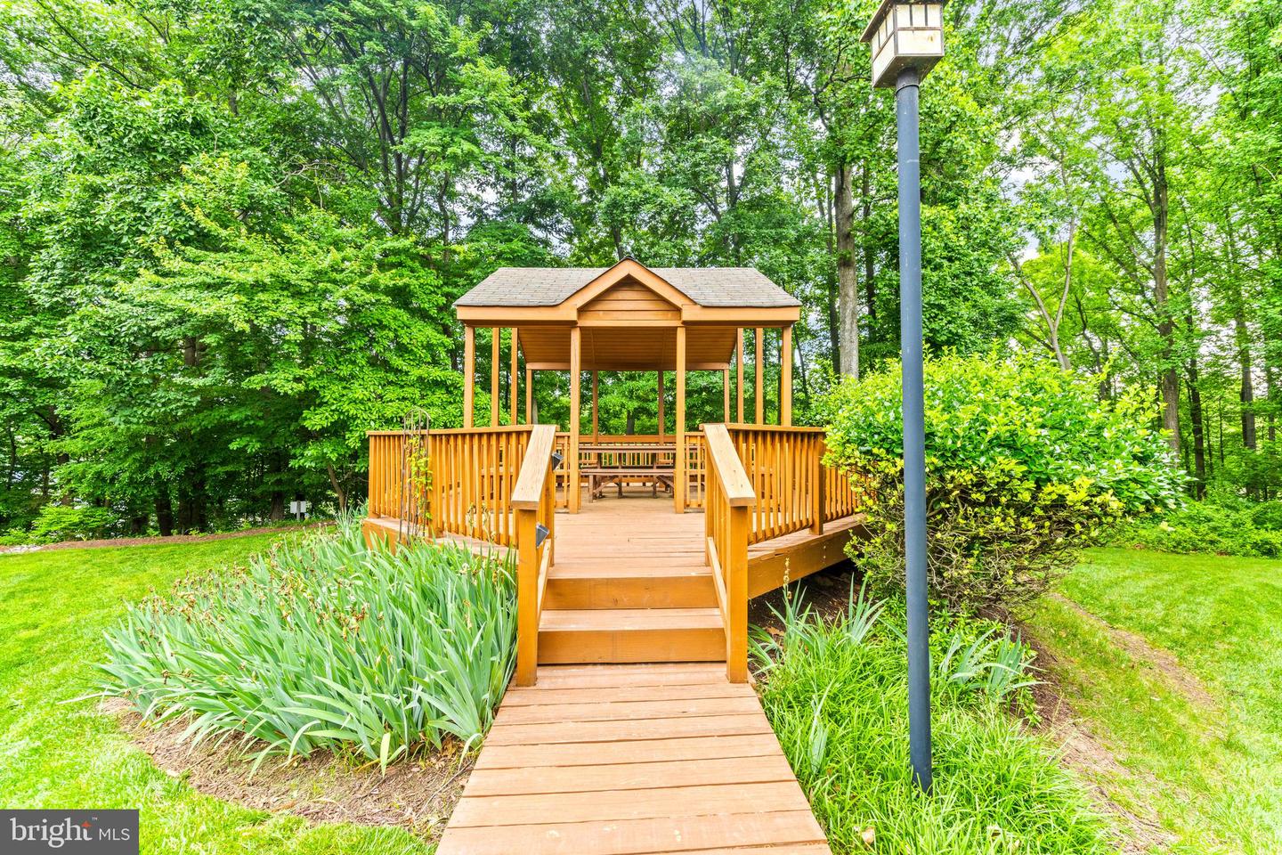 9463 Hickory Limb #251