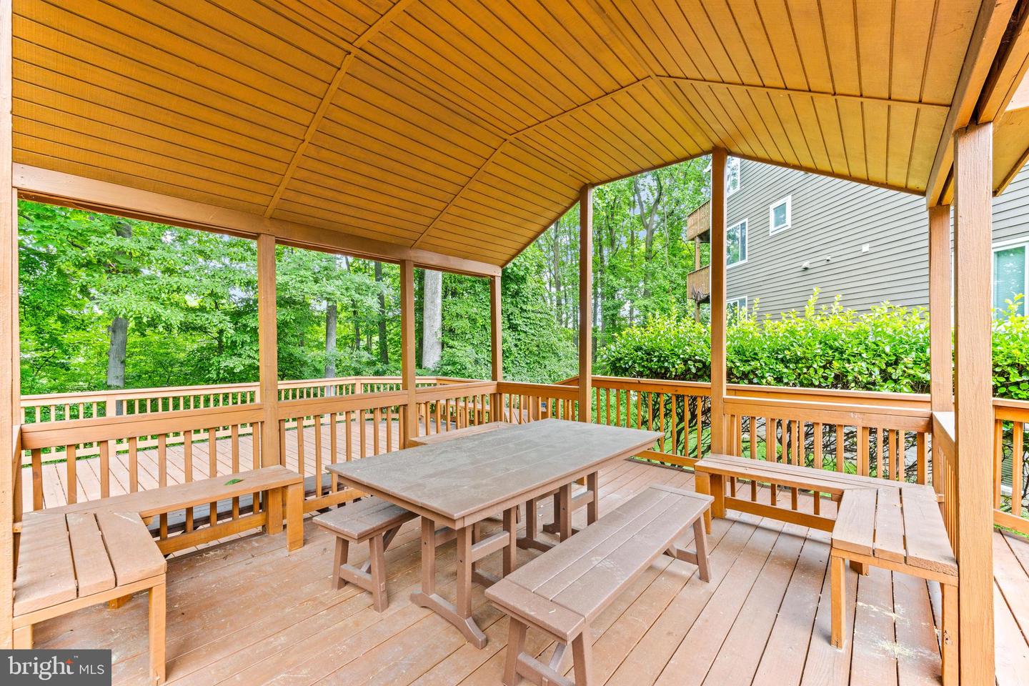 9463 Hickory Limb #251