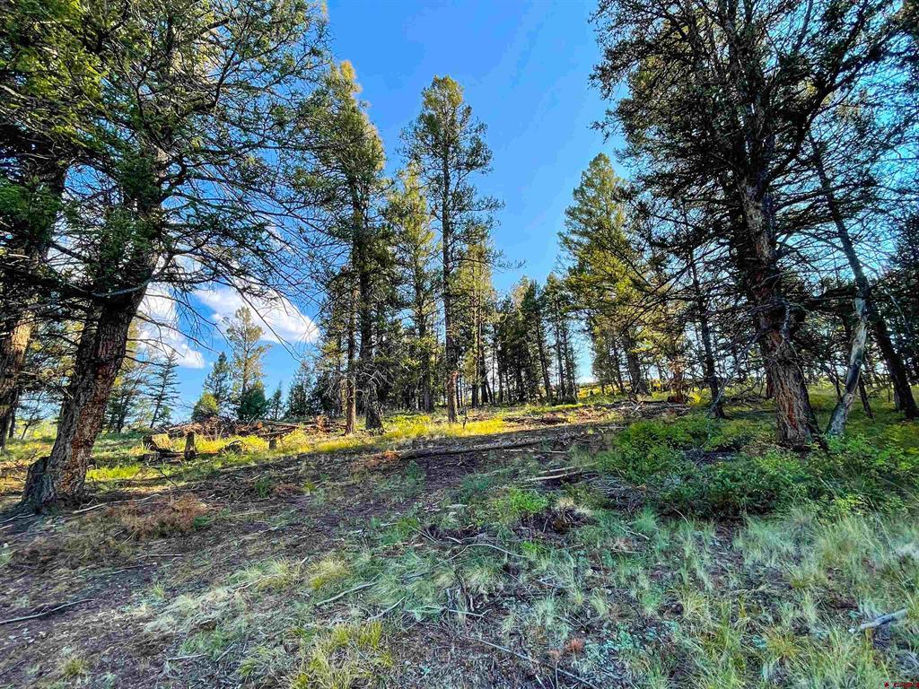 6001 County Road 25
