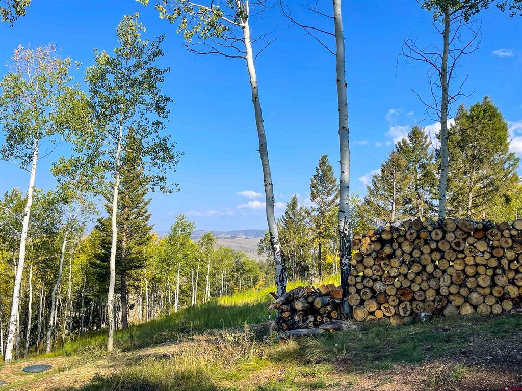 6001 County Road 25