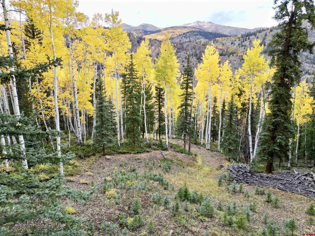 6 Alpine Vista Court