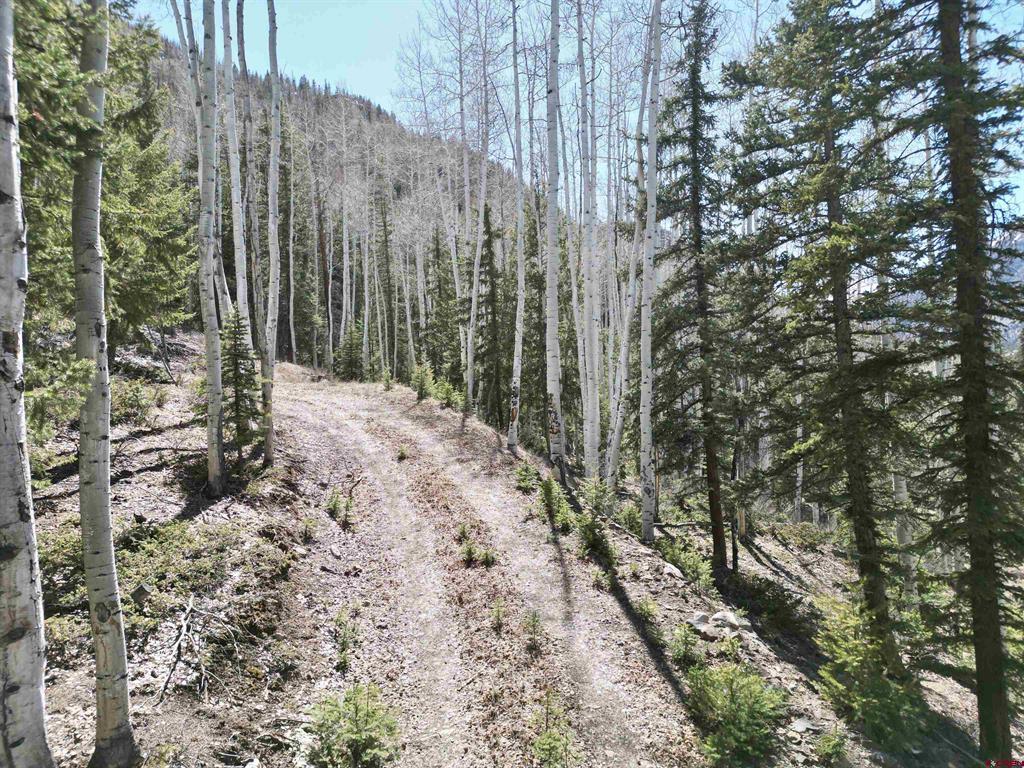 6 Alpine Vista Court