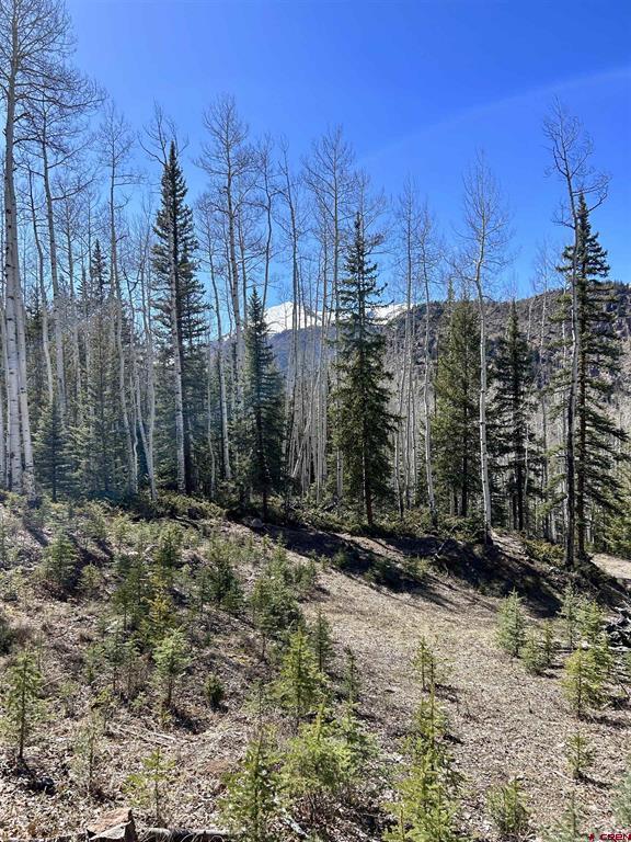 6 Alpine Vista Court