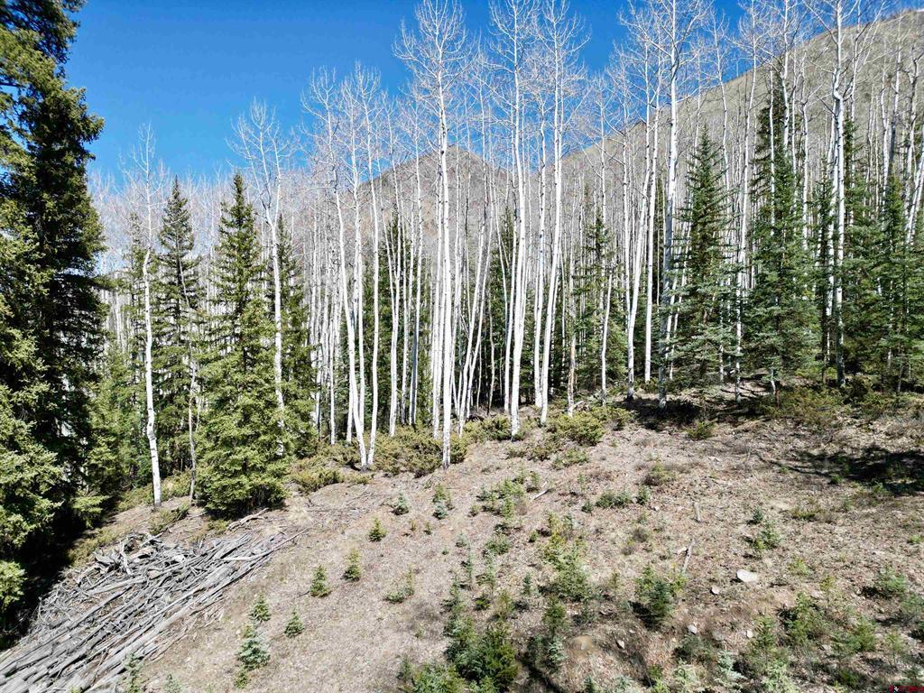 6 Alpine Vista Court