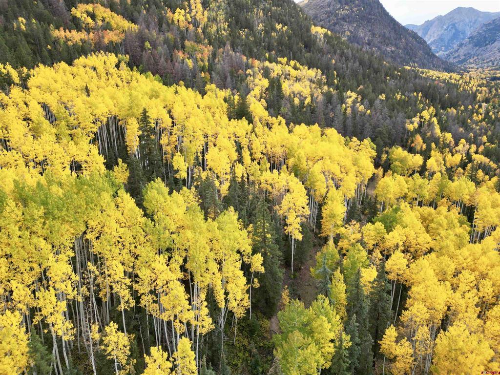 6 Alpine Vista Court