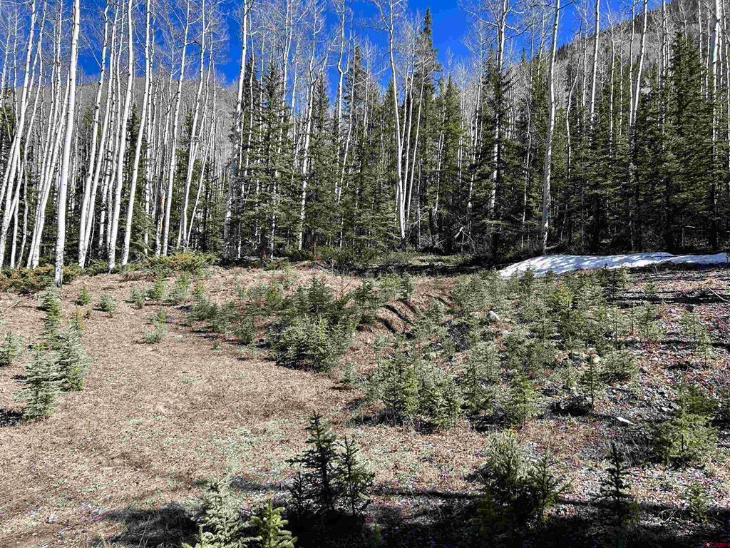 6 Alpine Vista Court