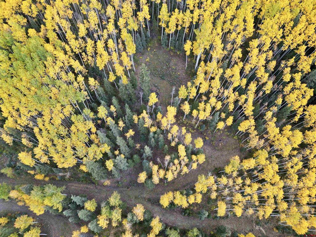 6 Alpine Vista Court