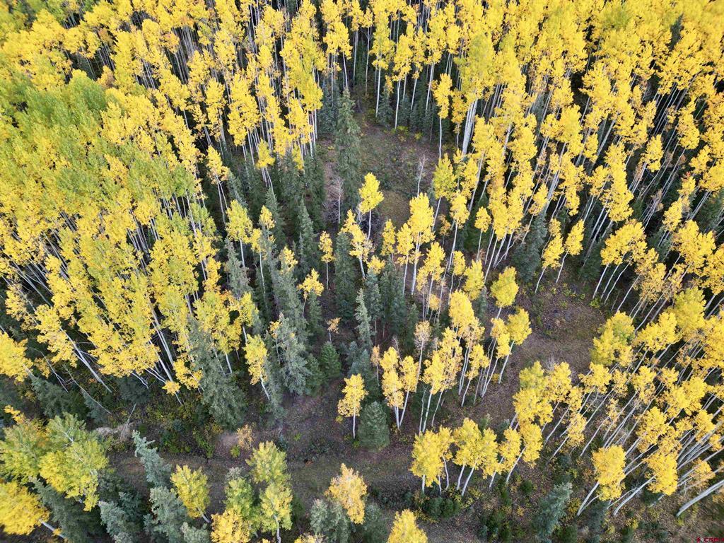 6 Alpine Vista Court