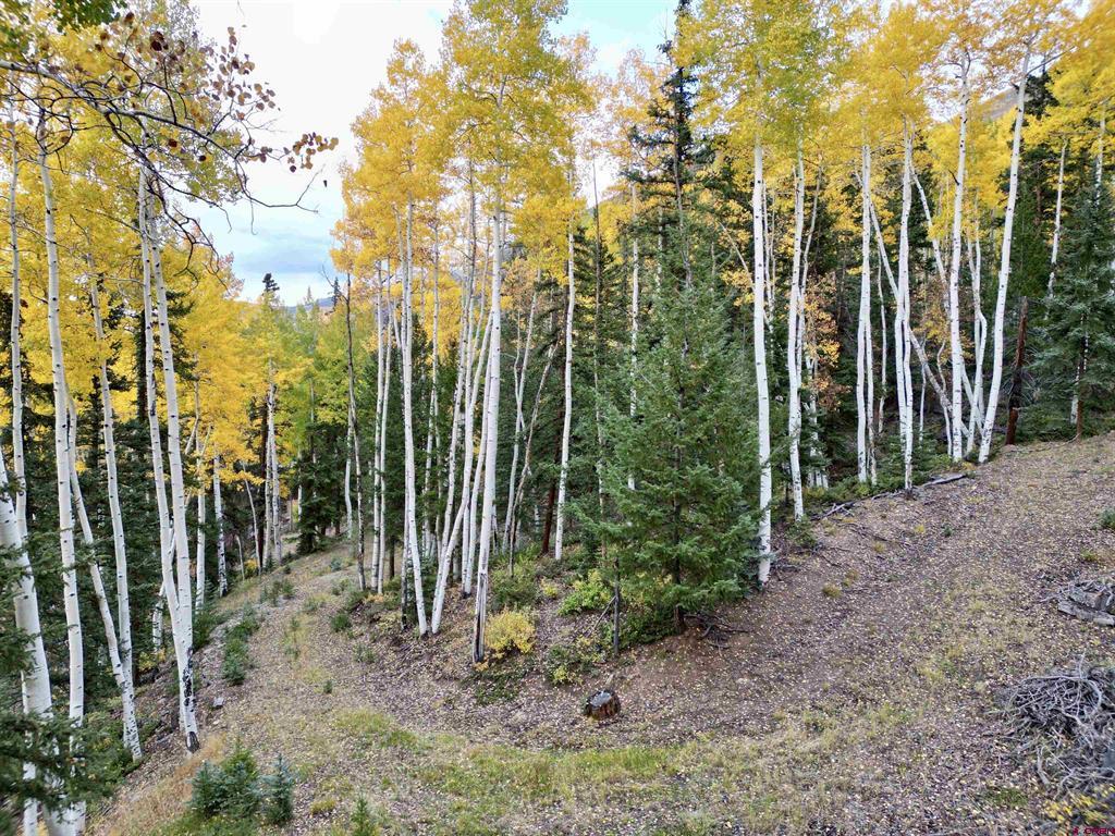 6 Alpine Vista Court