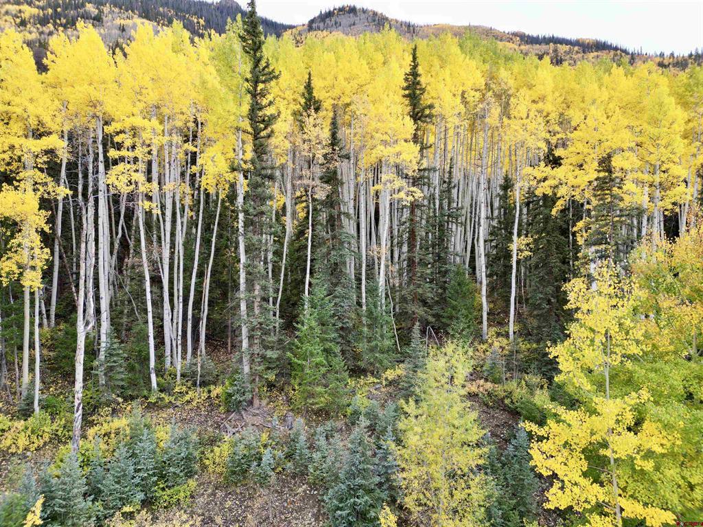 6 Alpine Vista Court