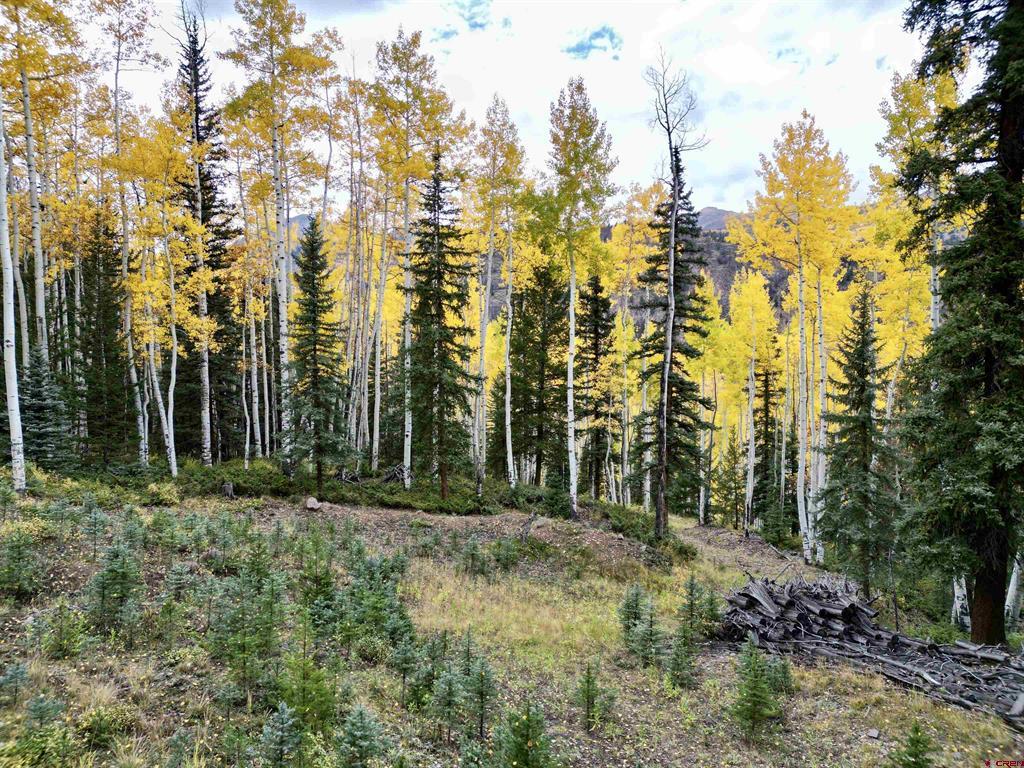 6 Alpine Vista Court