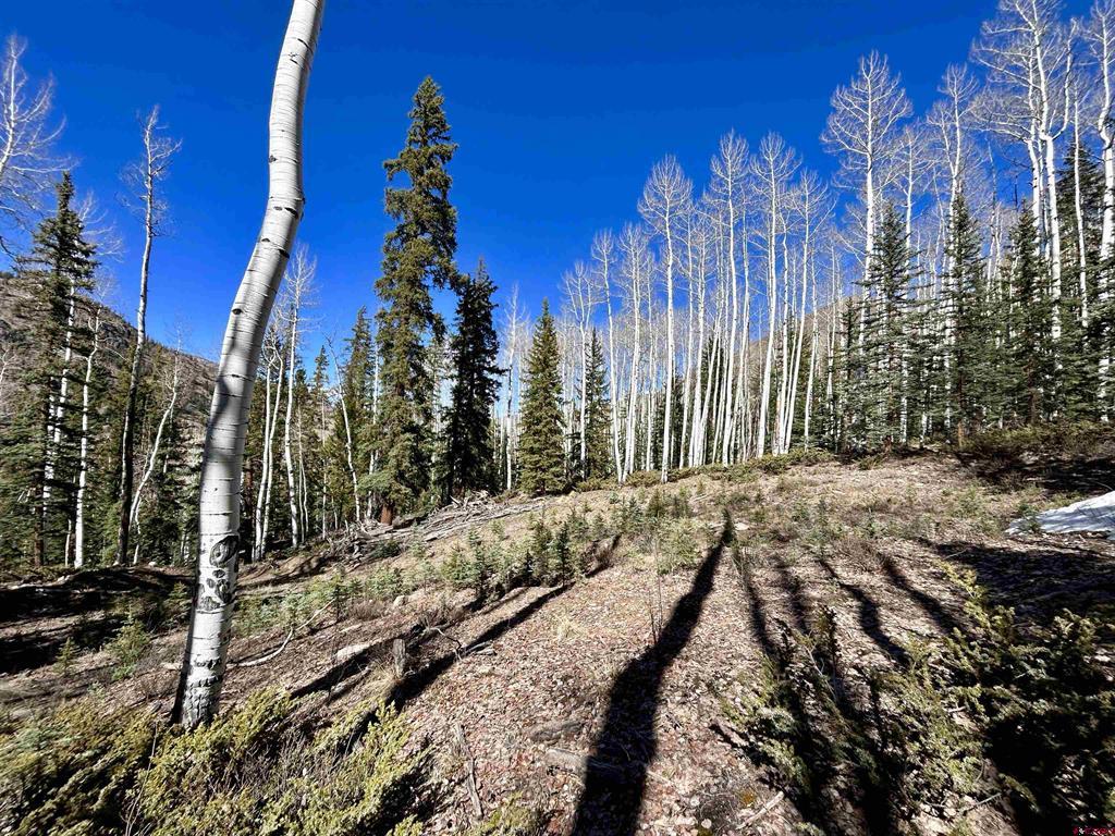 6 Alpine Vista Court