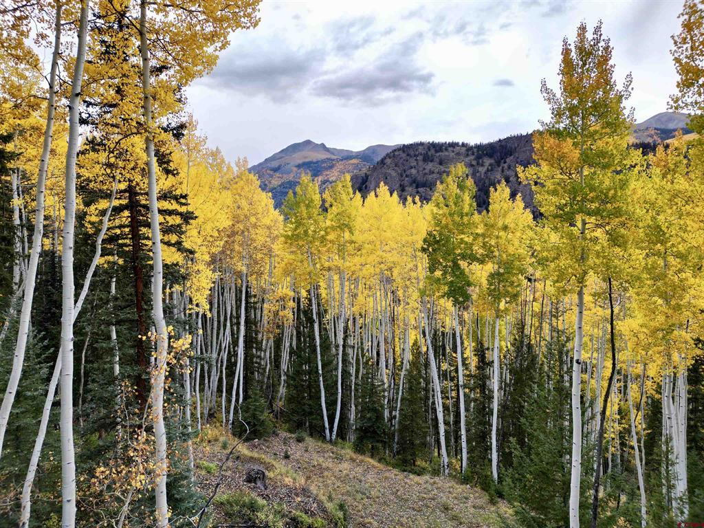 6 Alpine Vista Court