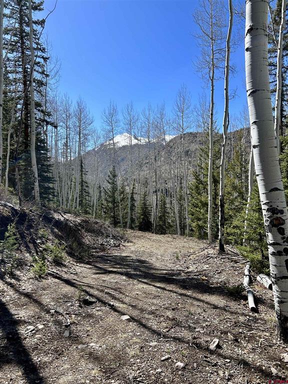 6 Alpine Vista Court