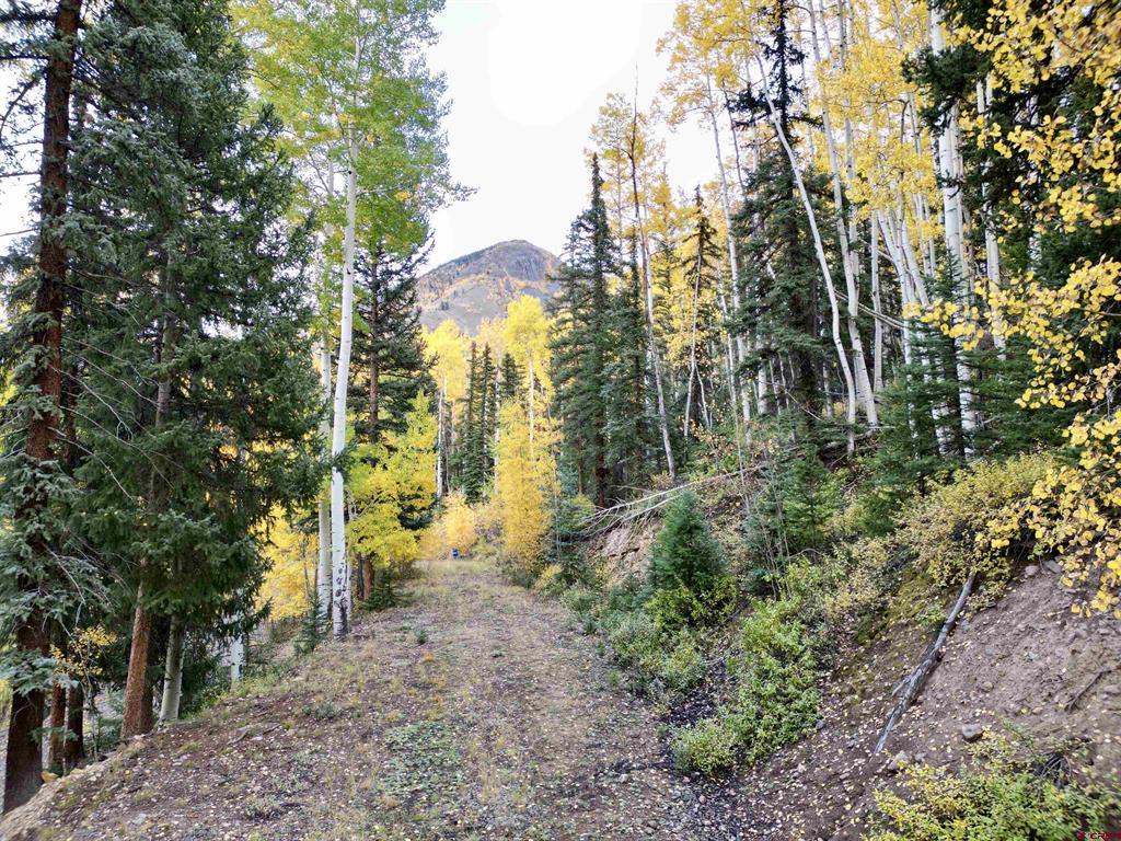 6 Alpine Vista Court