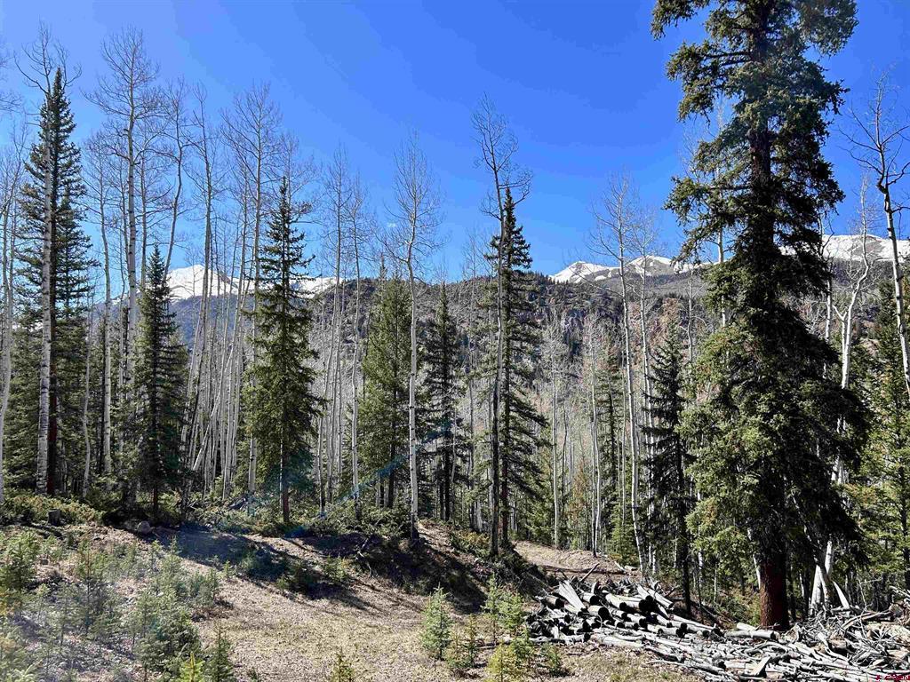 6 Alpine Vista Court