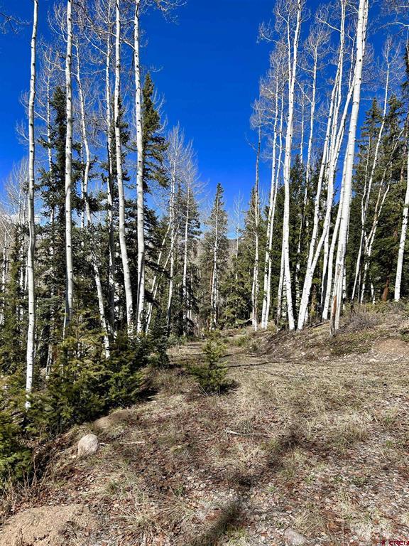 6 Alpine Vista Court