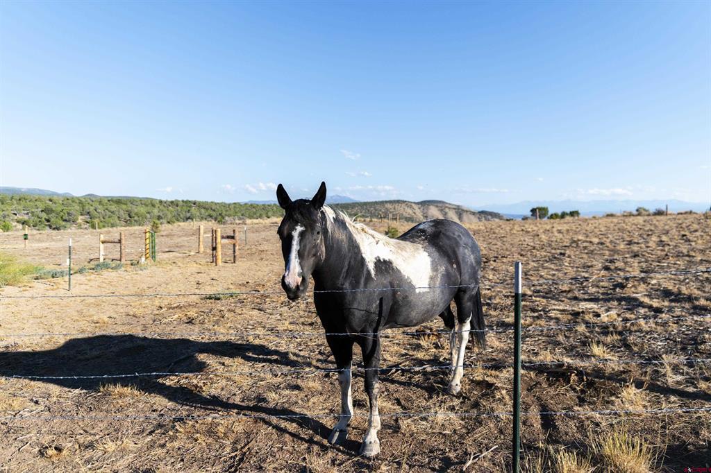 8800 Bostwick Park Road