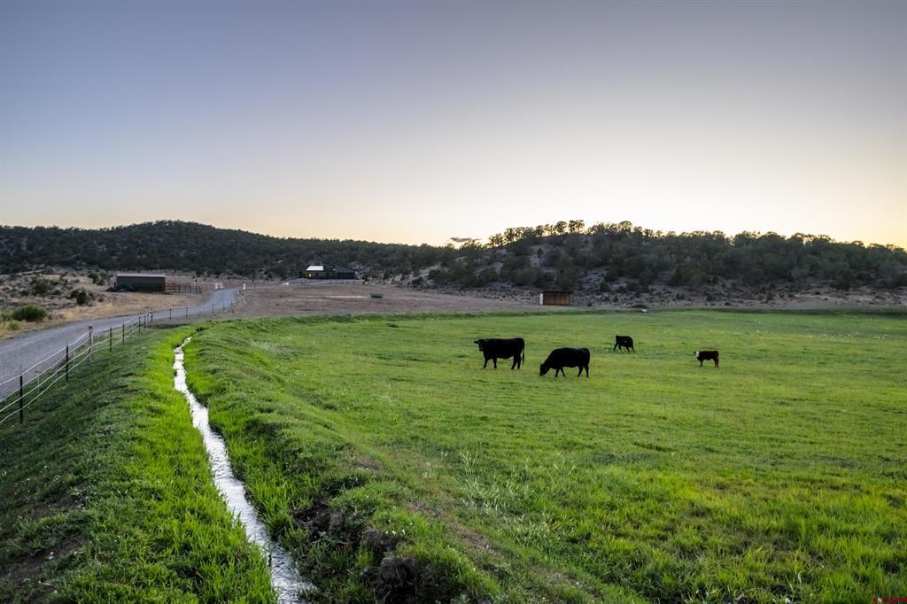 8800 Bostwick Park Road