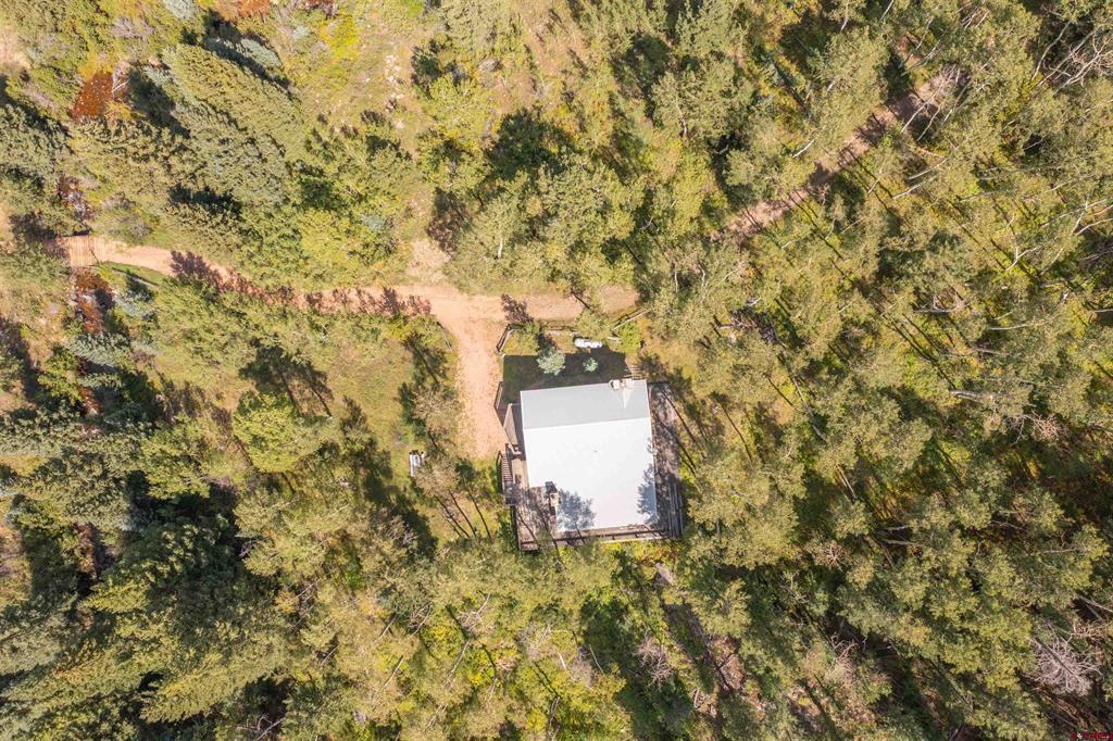 1950 County Road 771