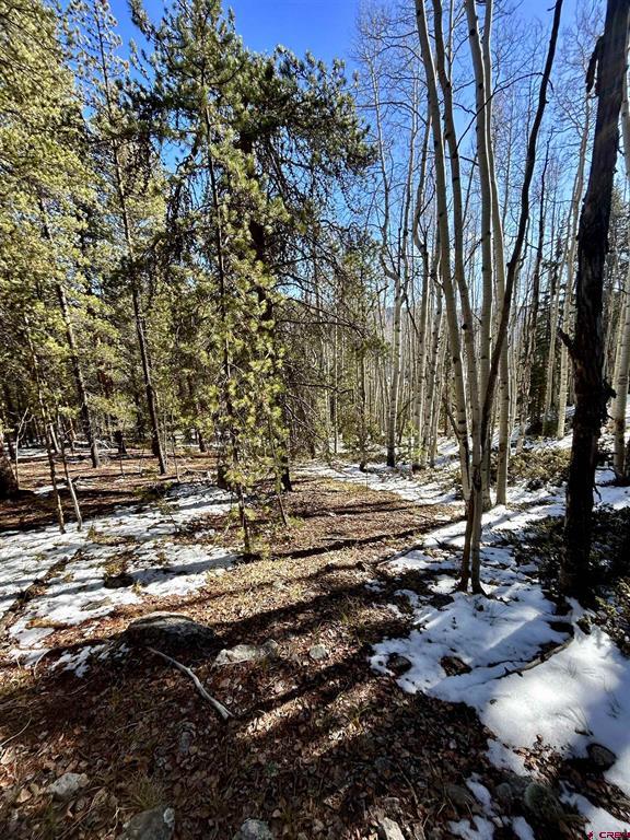 395 Soulsease Road