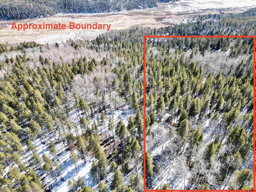 395 Soulsease Road