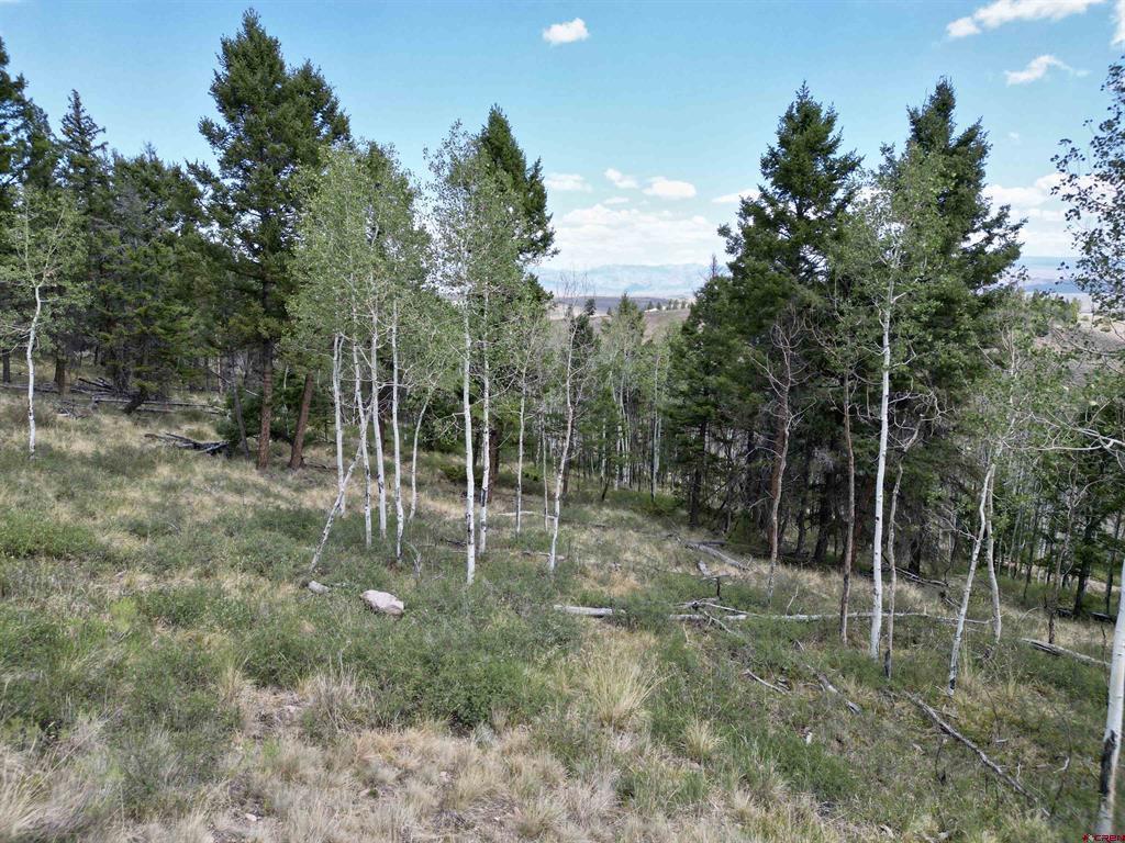 6001 County Road 25