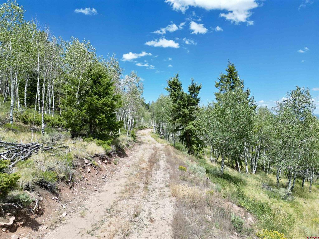 6001 County Road 25