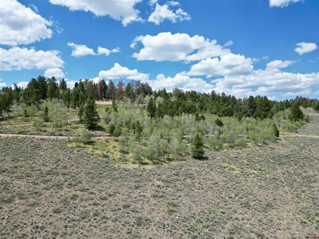 6001 County Road 25
