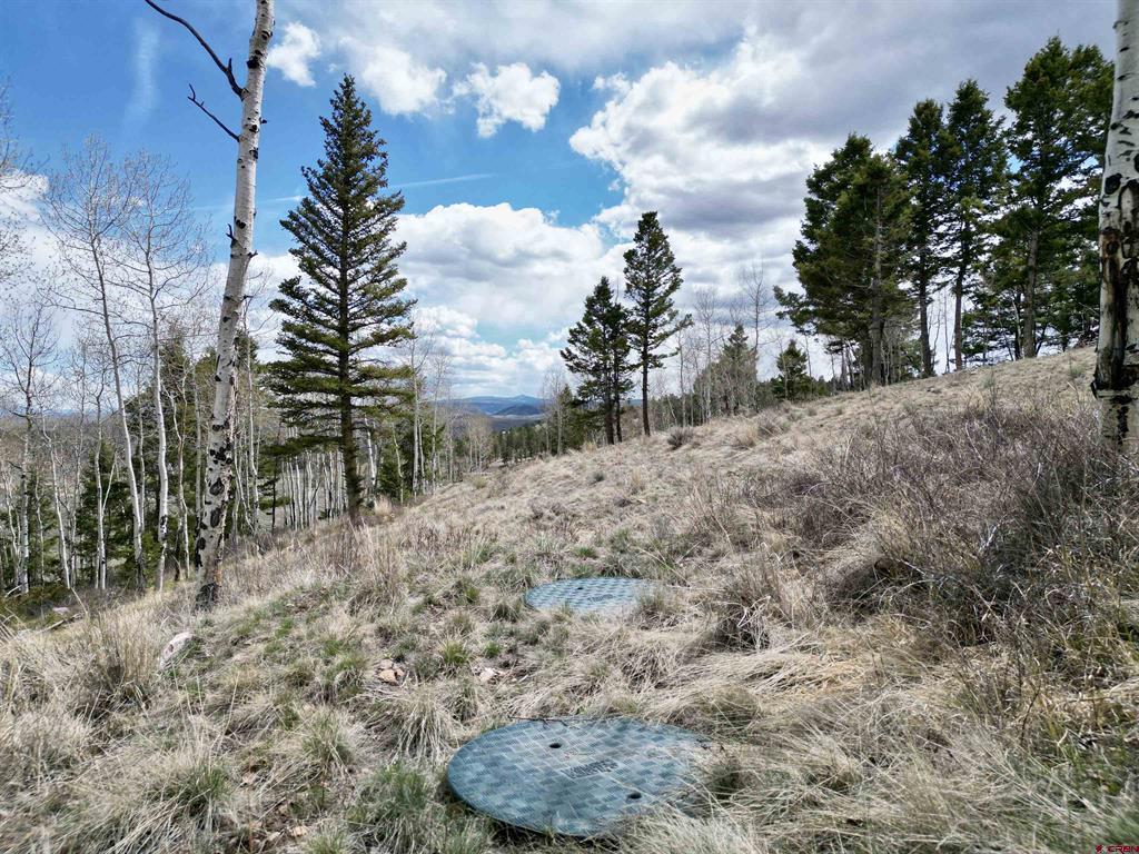 6001 County Road 25