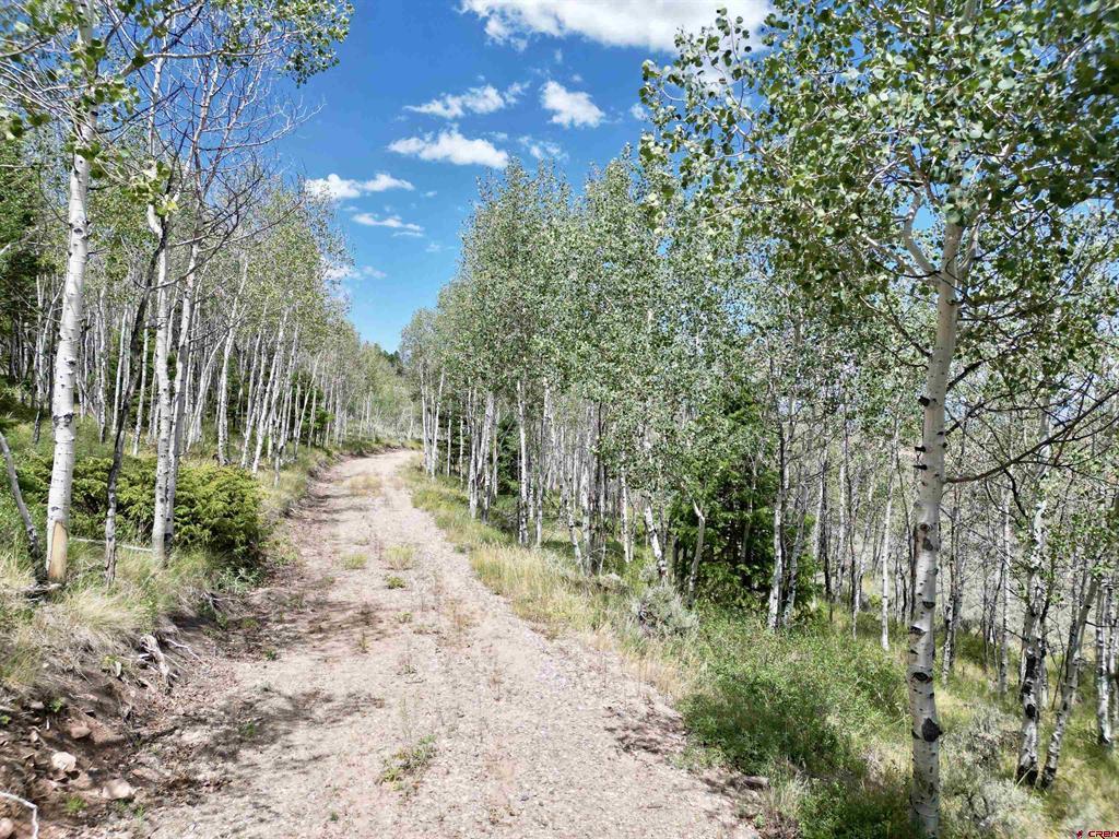 6001 County Road 25