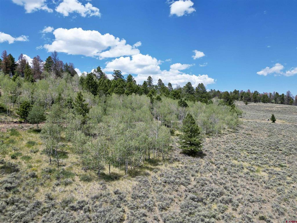 6001 County Road 25