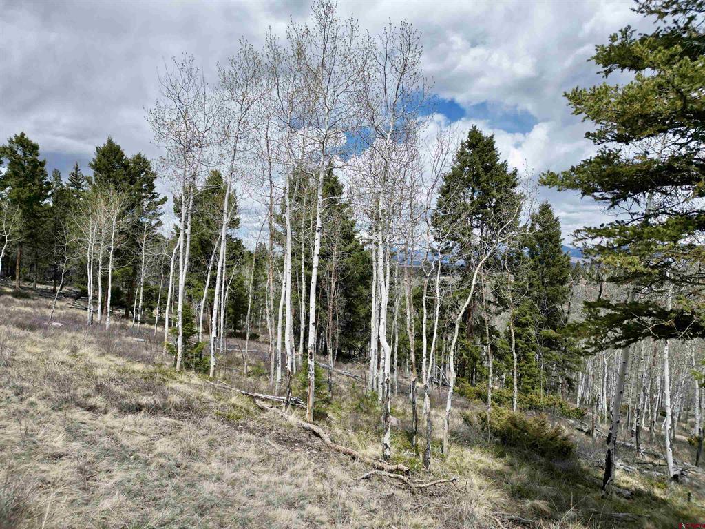 6001 County Road 25