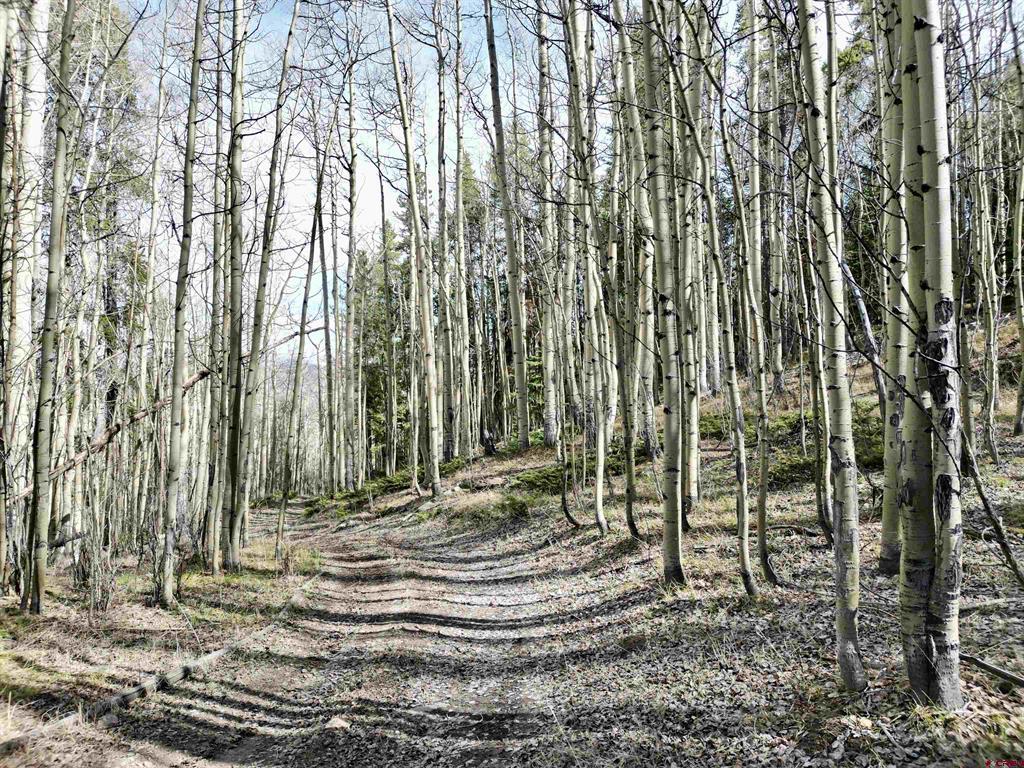 763.1H TBD USFS