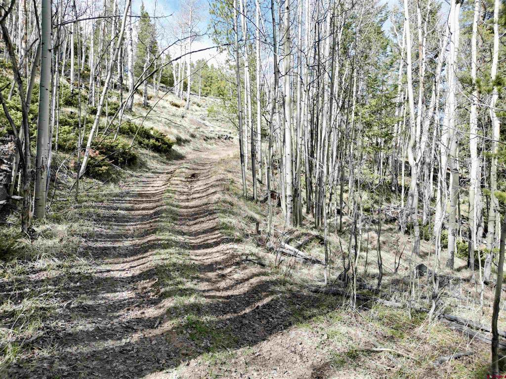 763.1H TBD USFS