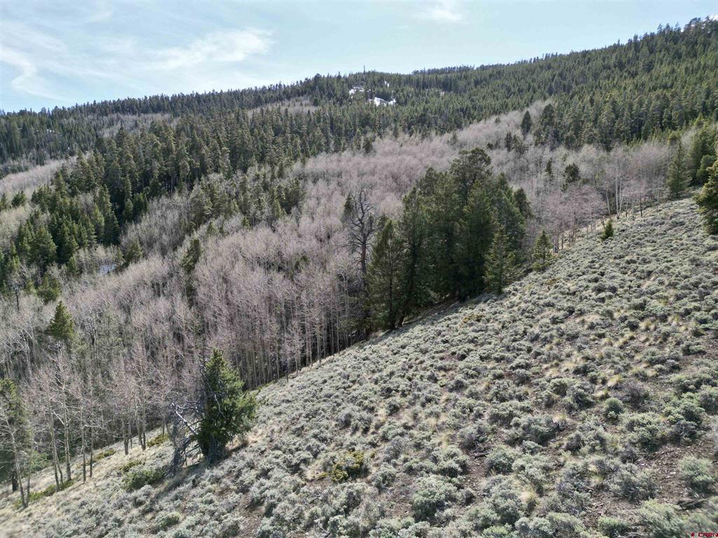 763.1H TBD USFS