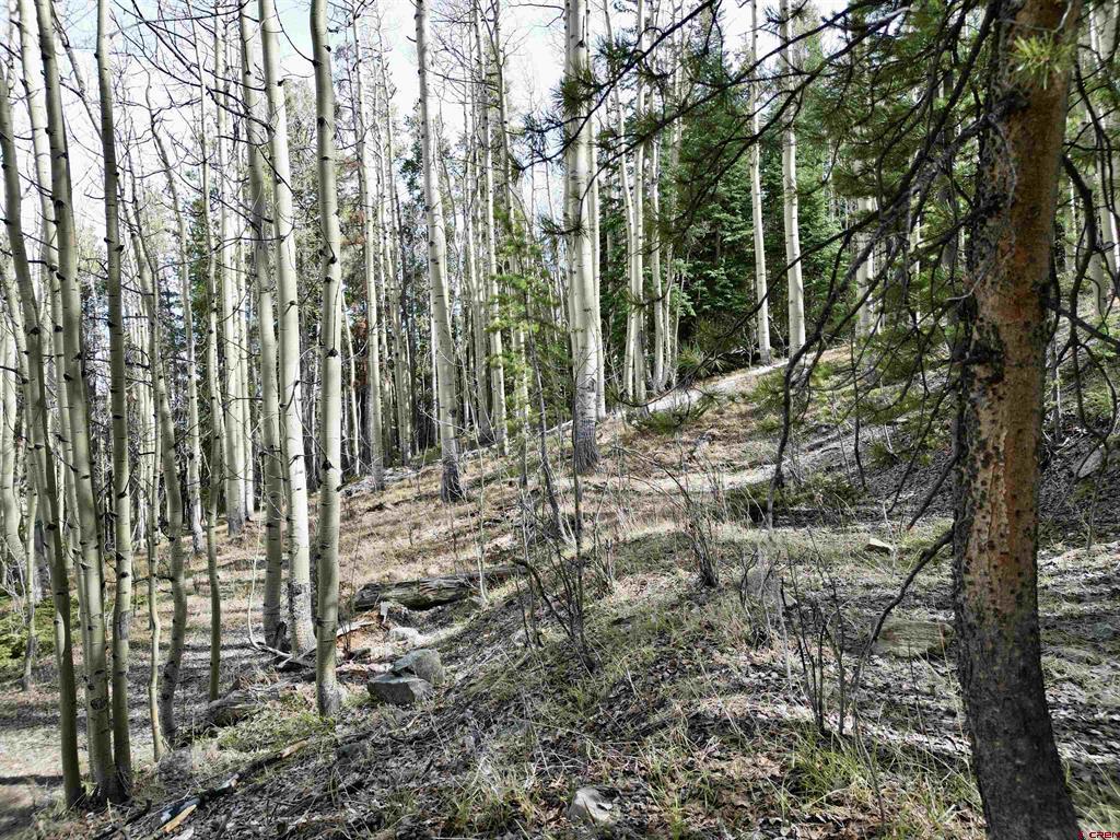 763.1H TBD USFS
