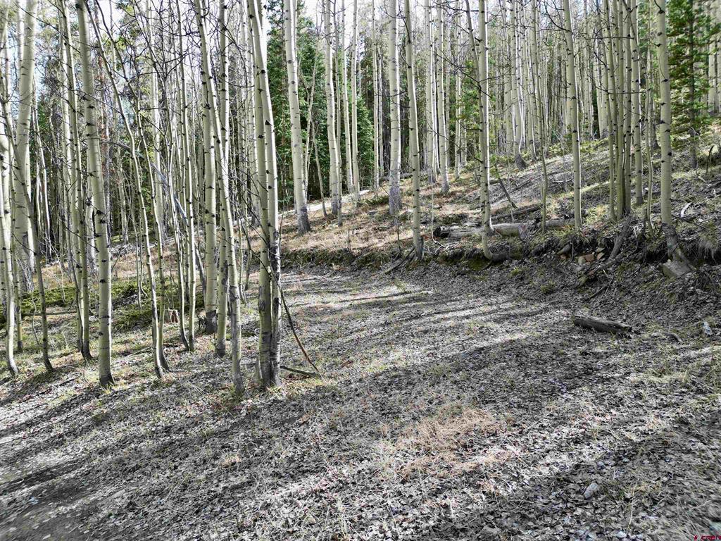763.1H TBD USFS