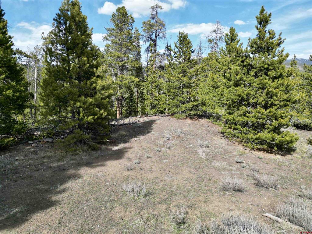 763.1H TBD USFS