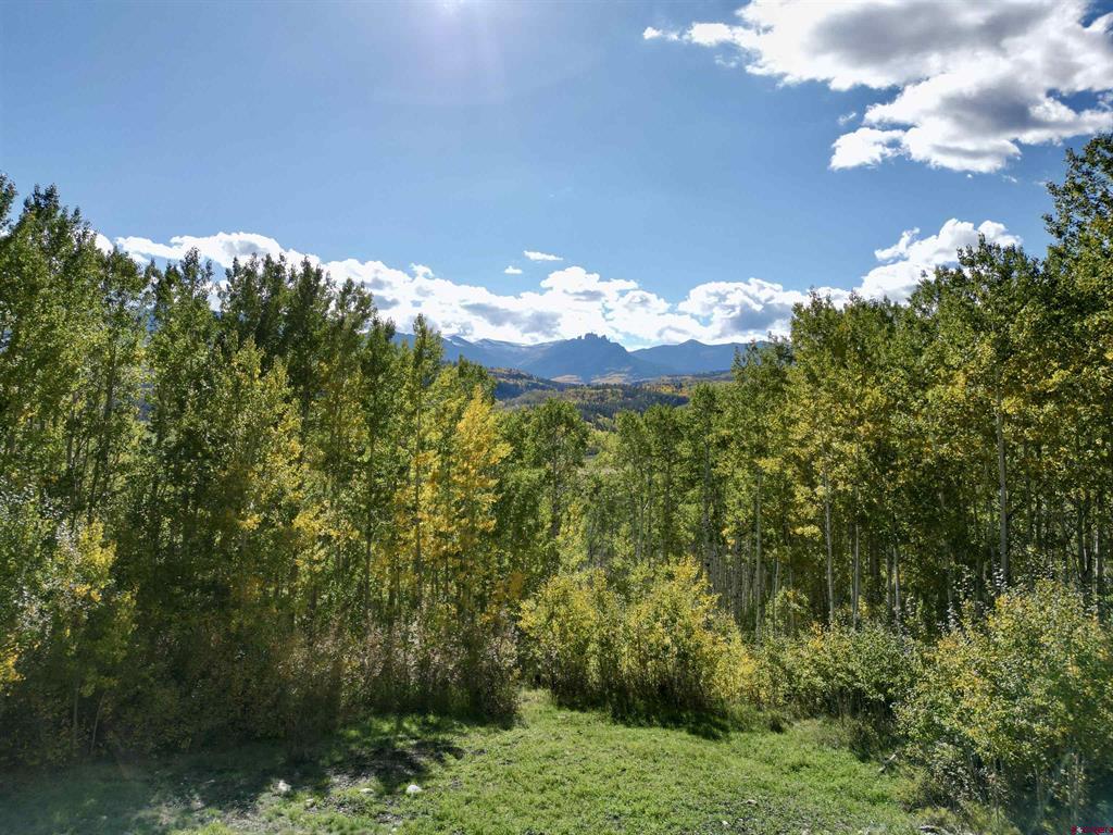 Wooded clearing with autumn aspens and distant mountain views.