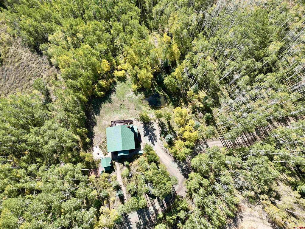 Aerial view of a green-roofed home in a forest clearing beside a driveway and small pond.