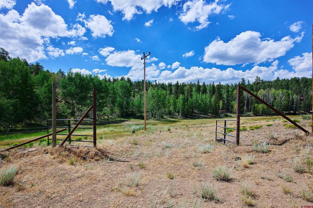 16431 State Highway 149