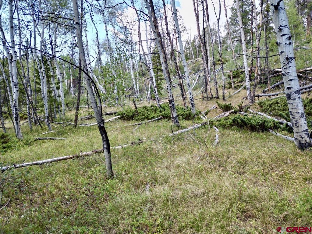 404 Forest Service Road 680.2A