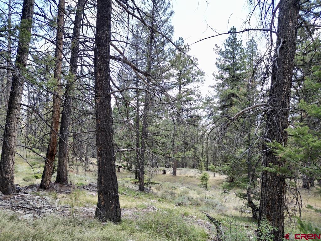 404 Forest Service Road 680.2A